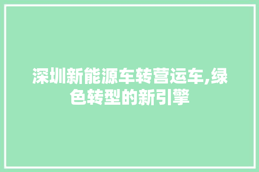 深圳新能源车转营运车,绿色转型的新引擎