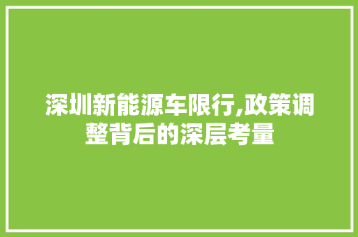 深圳新能源车限行,政策调整背后的深层考量  第1张