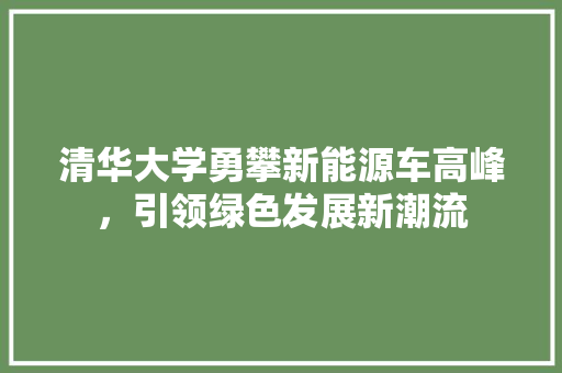 清华大学勇攀新能源车高峰，引领绿色发展新潮流