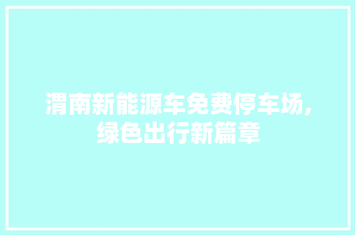 渭南新能源车免费停车场,绿色出行新篇章