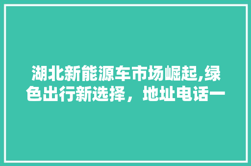 湖北新能源车市场崛起,绿色出行新选择，地址电话一网打尽