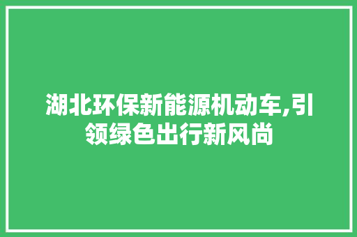 湖北环保新能源机动车,引领绿色出行新风尚