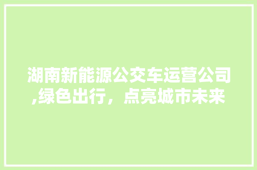 湖南新能源公交车运营公司,绿色出行，点亮城市未来