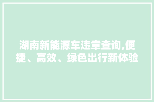 湖南新能源车违章查询,便捷、高效、绿色出行新体验