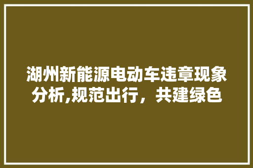 湖州新能源电动车违章现象分析,规范出行，共建绿色家园