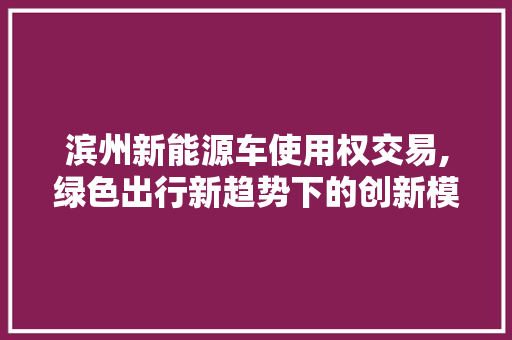 滨州新能源车使用权交易,绿色出行新趋势下的创新模式  第1张