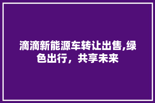 滴滴新能源车转让出售,绿色出行，共享未来