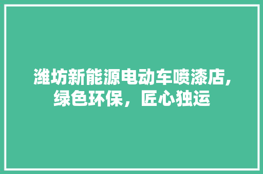 潍坊新能源电动车喷漆店,绿色环保，匠心独运