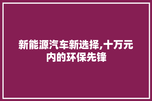 新能源汽车新选择,十万元内的环保先锋