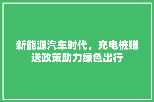 新能源汽车时代，充电桩赠送政策助力绿色出行