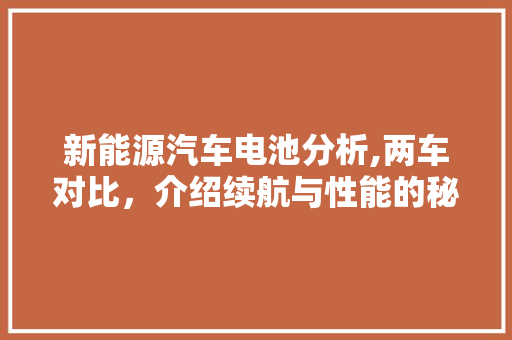 新能源汽车电池分析,两车对比，介绍续航与性能的秘密