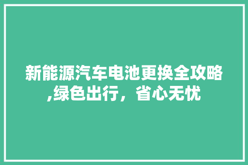 新能源汽车电池更换全攻略,绿色出行，省心无忧