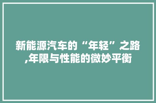 新能源汽车的“年轻”之路,年限与性能的微妙平衡