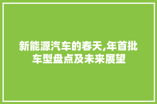 新能源汽车的春天,年首批车型盘点及未来展望