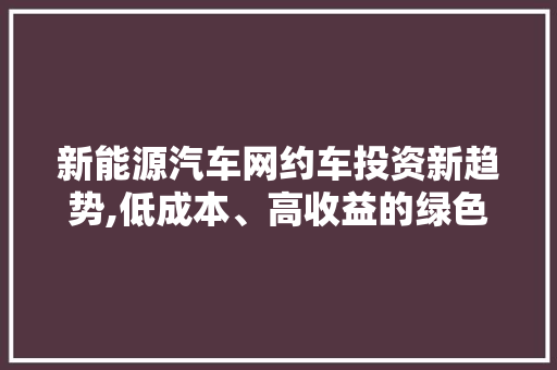 新能源汽车网约车投资新趋势,低成本、高收益的绿色出行选择