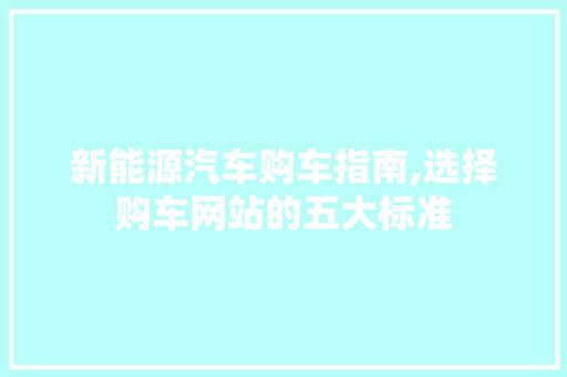 新能源汽车购车指南,选择购车网站的五大标准