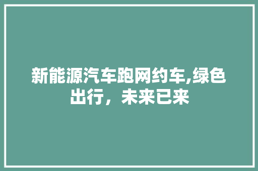 新能源汽车跑网约车,绿色出行，未来已来