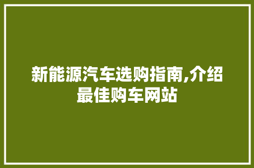 新能源汽车选购指南,介绍最佳购车网站