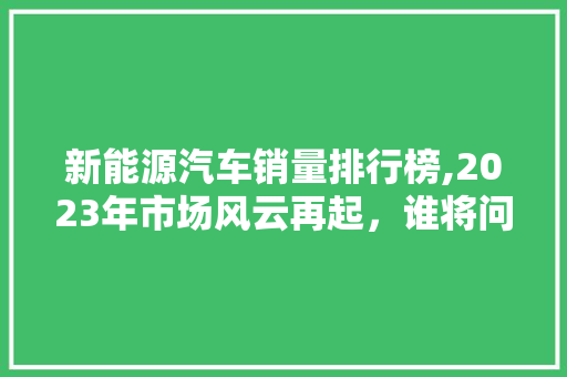 新能源汽车销量排行榜,2023年市场风云再起，谁将问鼎销量之巅