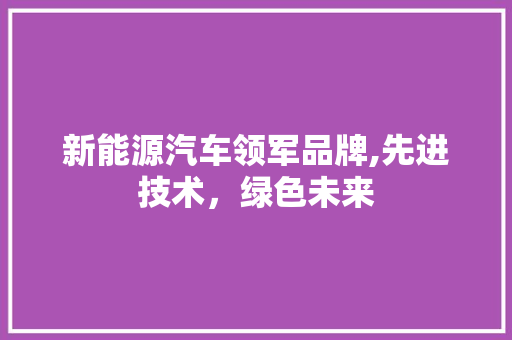 新能源汽车领军品牌,先进技术，绿色未来