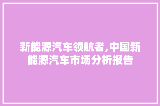 新能源汽车领航者,中国新能源汽车市场分析报告