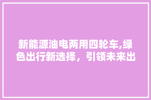 新能源油电两用四轮车,绿色出行新选择，引领未来出行潮流