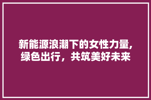 新能源浪潮下的女性力量,绿色出行，共筑美好未来