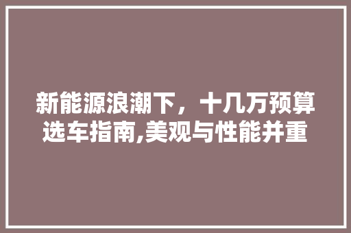 新能源浪潮下，十几万预算选车指南,美观与性能并重