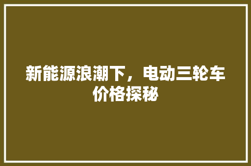 新能源浪潮下，电动三轮车价格探秘