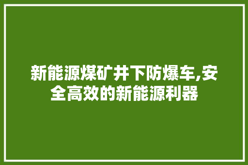 新能源煤矿井下防爆车,安全高效的新能源利器