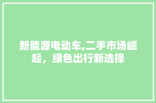 新能源电动车,二手市场崛起，绿色出行新选择