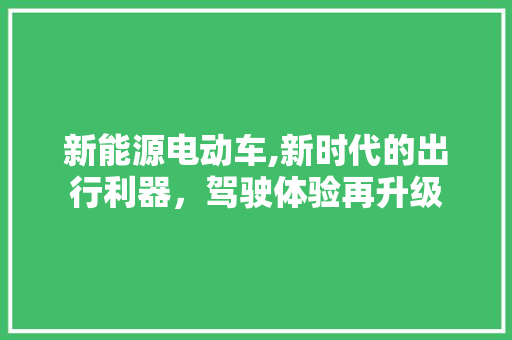 新能源电动车,新时代的出行利器，驾驶体验再升级