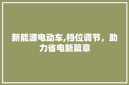 新能源电动车,档位调节，助力省电新篇章