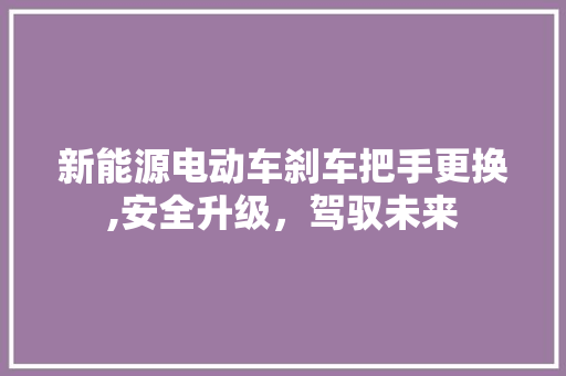 新能源电动车刹车把手更换,安全升级，驾驭未来