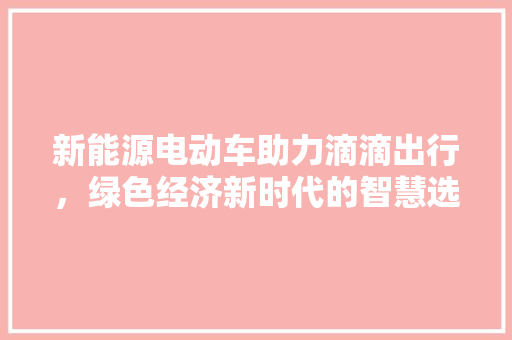 新能源电动车助力滴滴出行，绿色经济新时代的智慧选择