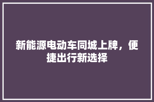 新能源电动车同城上牌，便捷出行新选择  第1张