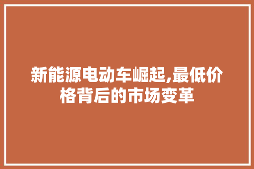 新能源电动车崛起,最低价格背后的市场变革  第1张