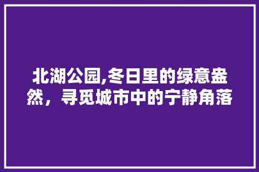 北湖公园,冬日里的绿意盎然，寻觅城市中的宁静角落