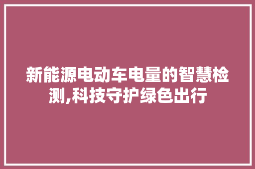 新能源电动车电量的智慧检测,科技守护绿色出行