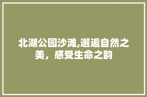 北湖公园沙滩,邂逅自然之美，感受生命之韵