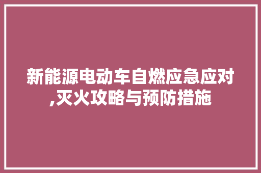 新能源电动车自燃应急应对,灭火攻略与预防措施