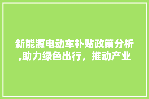 新能源电动车补贴政策分析,助力绿色出行，推动产业升级