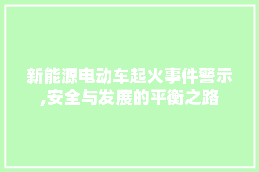 新能源电动车起火事件警示,安全与发展的平衡之路