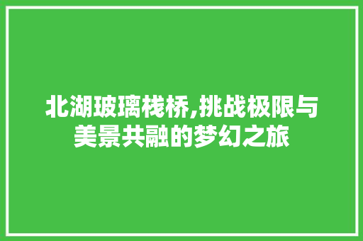 北湖玻璃栈桥,挑战极限与美景共融的梦幻之旅