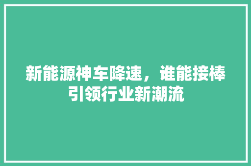 新能源神车降速，谁能接棒引领行业新潮流