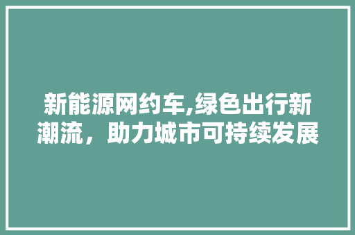 新能源网约车,绿色出行新潮流，助力城市可持续发展