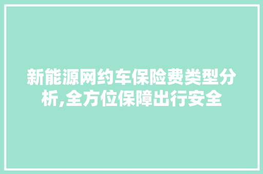 新能源网约车保险费类型分析,全方位保障出行安全