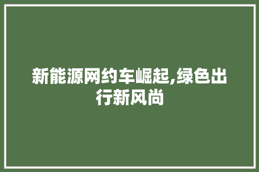 新能源网约车崛起,绿色出行新风尚