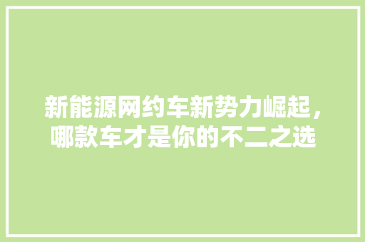 新能源网约车新势力崛起，哪款车才是你的不二之选