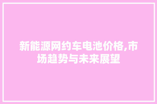 新能源网约车电池价格,市场趋势与未来展望